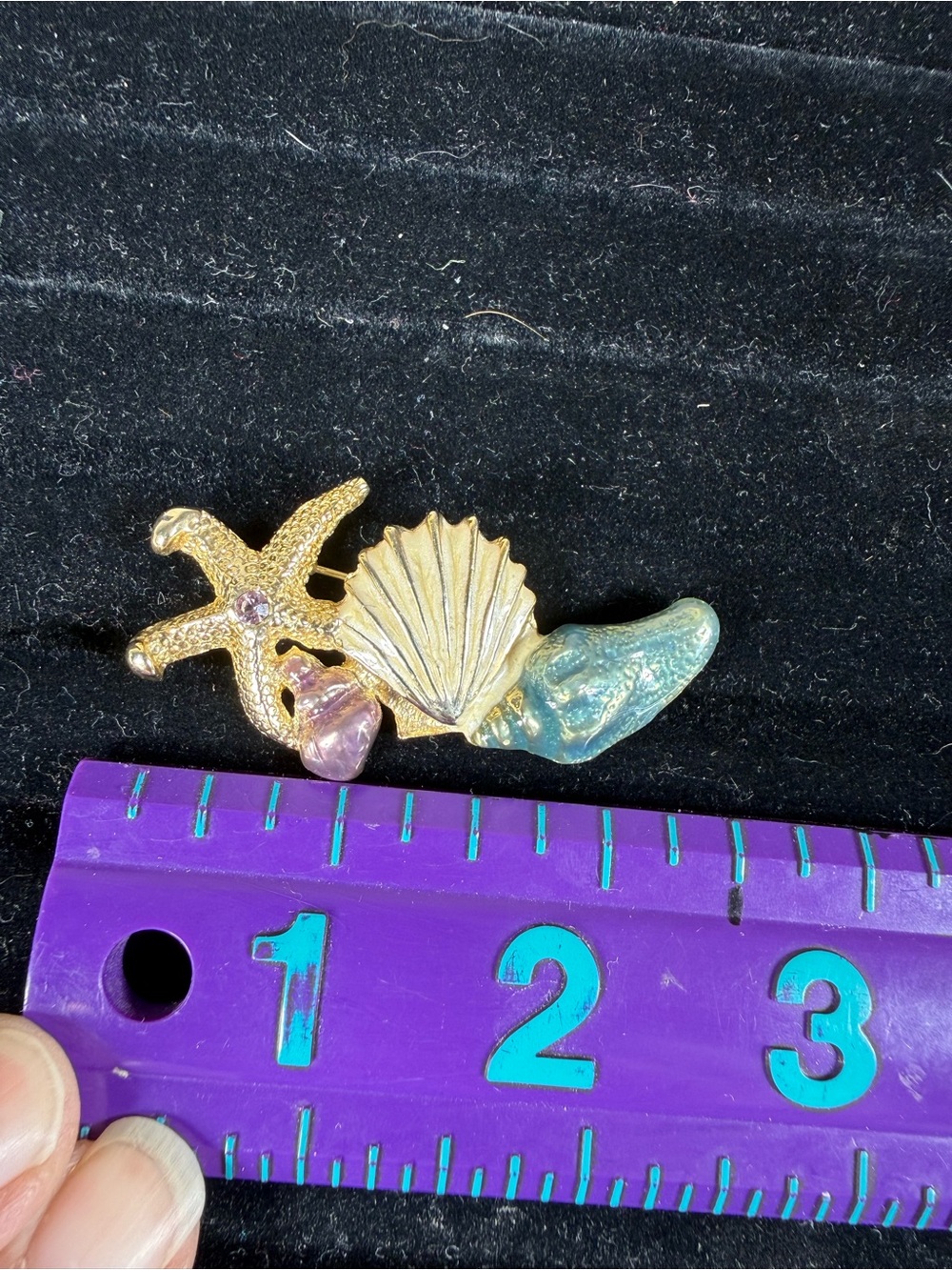 AAI Sea Shell Booch - Picture 5 of 5